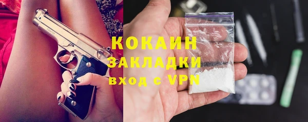 винт Тайга