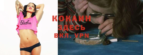 винт Тайга