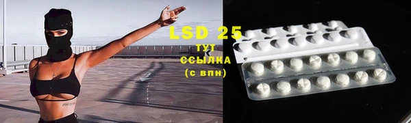 винт Тайга