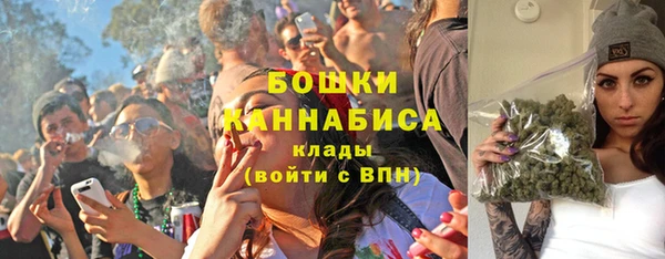 гидра Сясьстрой
