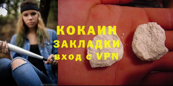 гидра Сясьстрой