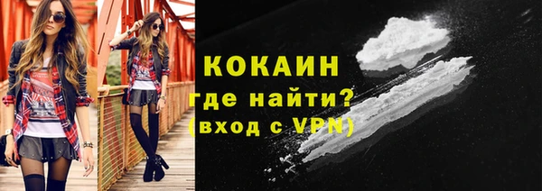 винт Тайга