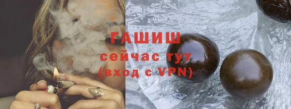 гидра Сясьстрой