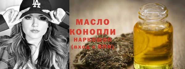 гидра Сясьстрой