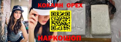 крисы Берёзовский