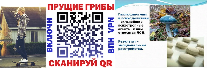 Псилоцибиновые грибы Magic Shrooms  Братск 