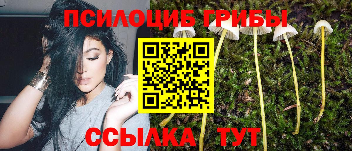 Галлюциногенные грибы MAGIC MUSHROOMS Братск