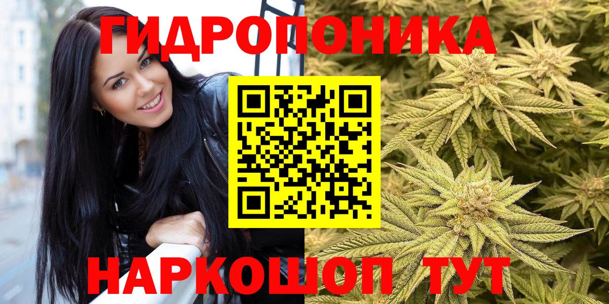 МАРИХУАНА сатива Братск